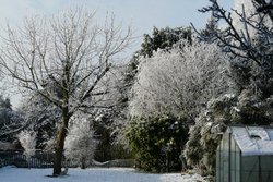 winter 003.jpg