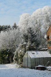 winter 005.jpg