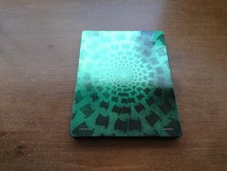 12705616_10208088271945135_8829883147579424575_n.jpg