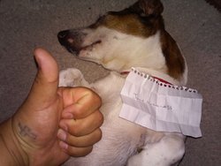 20160229_193341.jpg 20160229_193341.jpg