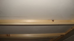 DSC08301.JPG