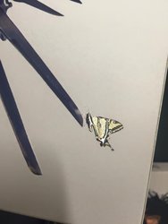IMG_0897.JPG
