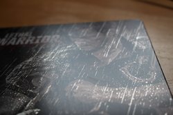 lethal_steel_9 (Medium).JPG