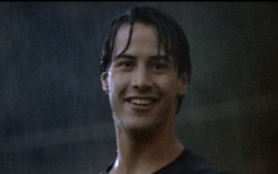 image.gif