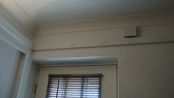 DSC08501.JPG