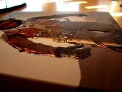 DSC03041 (Medium).JPG DSC03041 (Medium).JPG