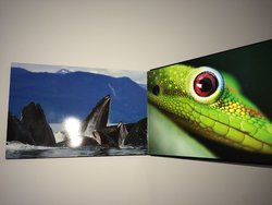 IMG_8318.JPG