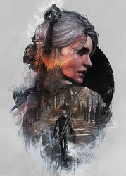 003-witcher-3-steelbooks-studiokxx-krzysztof-domaradzki.jpg 003-witcher-3-steelbooks-studiokxx-krzysztof-domaradzki.jpg