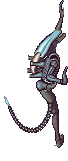 image.gif