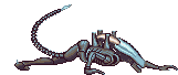 image.gif