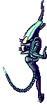 image.gif