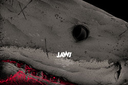 Mondo_TOBIN_JAWS_VAR_72dpi_1024x1024.jpg
