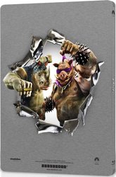 BB TMNT2 SB back.jpg