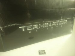 T4.jpg