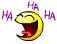 image.gif