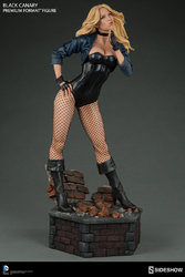 dc-comics-black-canary-premium-format-figure-300287-06.jpg