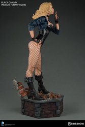 dc-comics-black-canary-premium-format-figure-300287-07.jpg