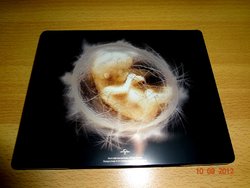 Children Of Men Play.com Exclusive Steelbook Back (Large).JPG Children Of Men Play.com Exclusive Steelbook Back (Large).JPG