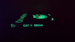 13680833_10209408637473448_7608133419148394233_n.jpg