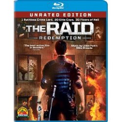 The Raid.jpg