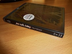 DSC04079 (Medium).JPG