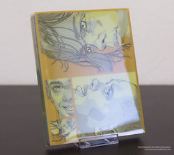 Steelbook Mondo X #002 Variant - Boyhood #02.jpg Steelbook Mondo X #002 Variant - Boyhood #02.jpg
