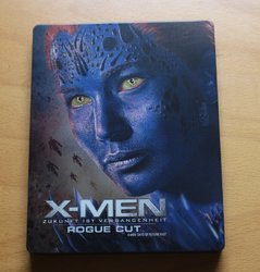 xmenzukunft_steel_3 (Medium).JPG