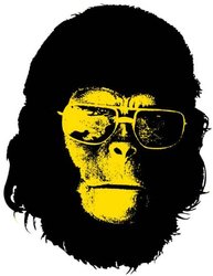 cool ape.JPG