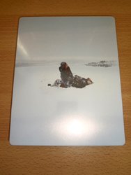 DSC04521 (Medium).JPG