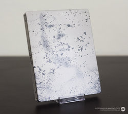The-Birds-Steelbok-+-Slipcase-Zavvi-#3.jpg The-Birds-Steelbok-+-Slipcase-Zavvi-#3.jpg