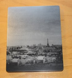 bastille_steel_4 (Medium).JPG