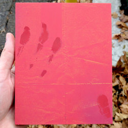 undercard_back-800x800.jpg