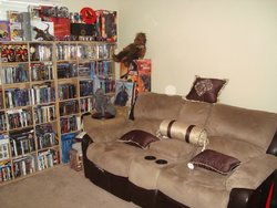 My Theater Room_6.JPG