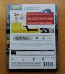 pets_steel_2 (Medium).JPG