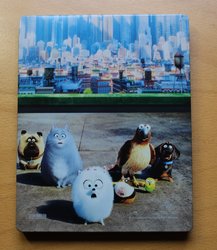pets_steel_4 (Medium).JPG