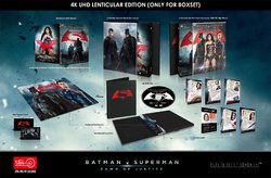 03 - BVS 4K Lenti.jpg 03 - BVS 4K Lenti.jpg