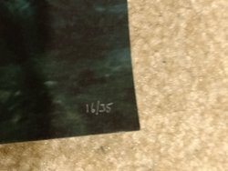 IMG_20161228_142439481.jpg