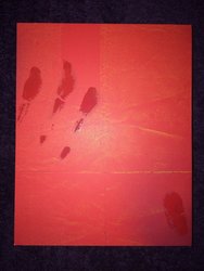 IMG_2353.JPG