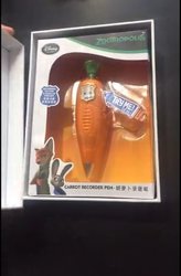 CarrotPen.JPG