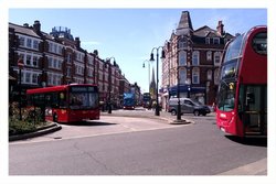 IMAG0172-1.jpg