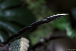 _MG_0916.jpg