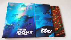 dory.JPG dory.JPG