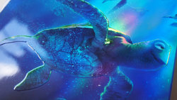 dory_slip_08.JPG dory_slip_08.JPG