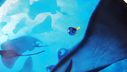 dory_steel_02.JPG dory_steel_02.JPG