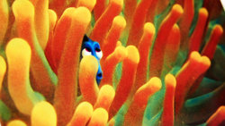 dory_steel_05.JPG dory_steel_05.JPG