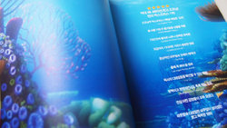 dory_book_02.JPG dory_book_02.JPG