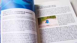 dory_book_04.JPG dory_book_04.JPG