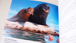 dory_book_12.JPG dory_book_12.JPG