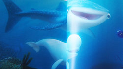 dory_book_18.JPG dory_book_18.JPG