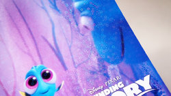 dory_cards_04.JPG dory_cards_04.JPG